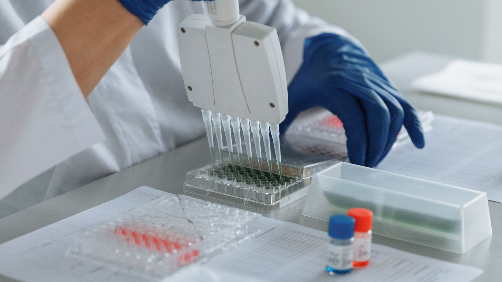 Gloved laboratory professional using a multichannel pipette during controlled sample analysis